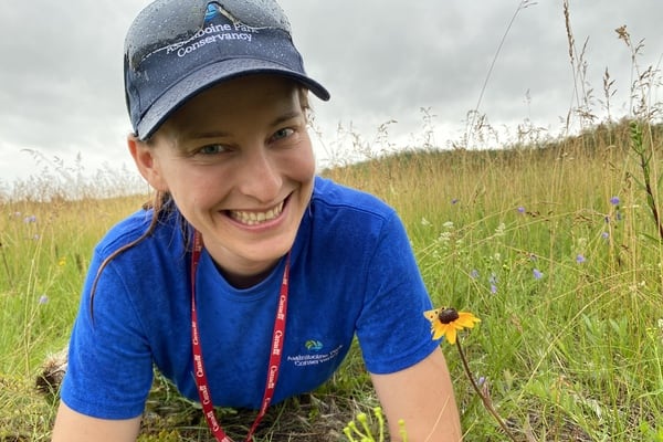 Consrevation Specialist in the field with a Poweshiek skipperling